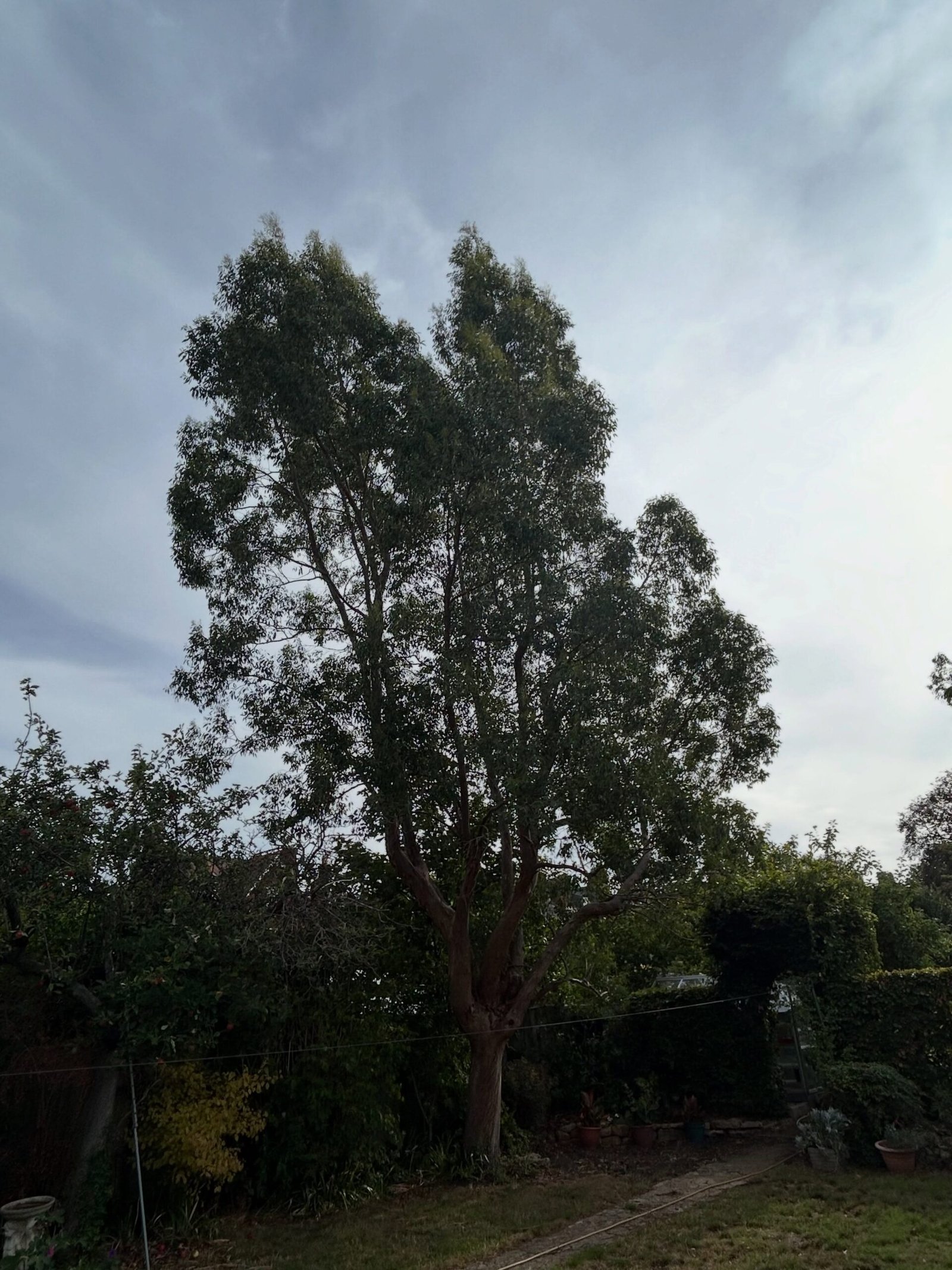 Reduction Before